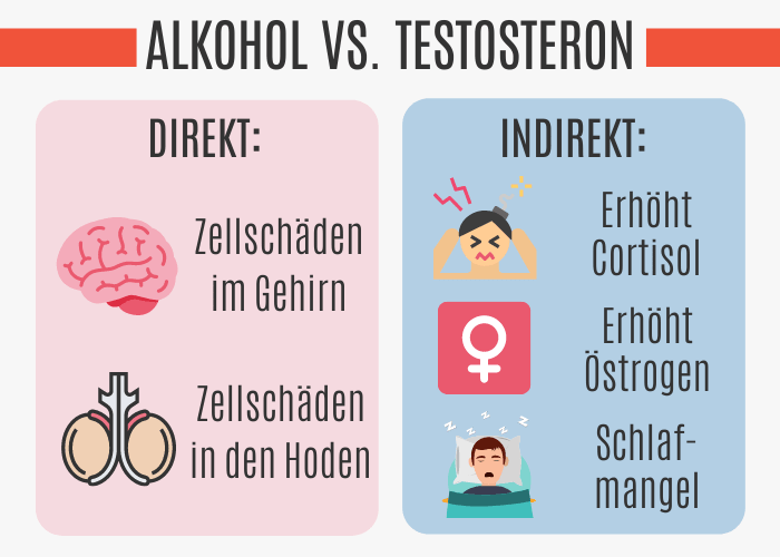 Einfluss von Alkohol auf Testosteron
