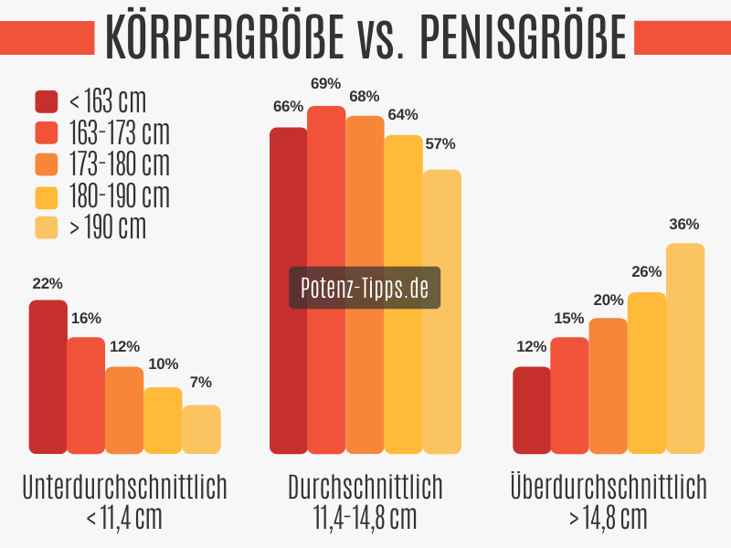 Durchschnittsgröße deutschland penis lutschen penis: