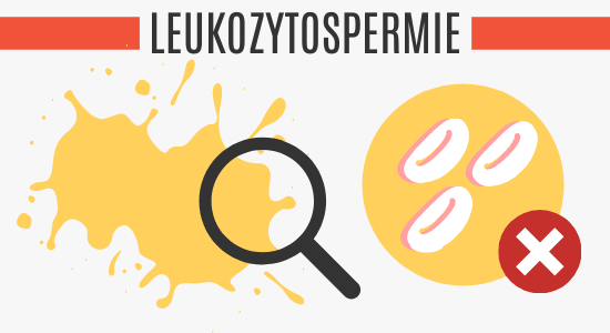 Leukozytospermie