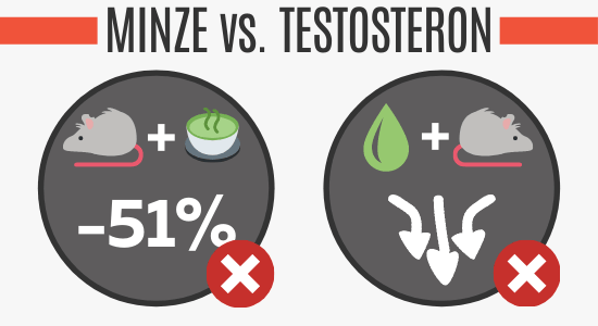 Minze senkt das Testosteron