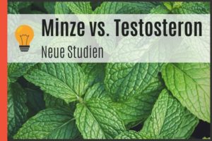 Minze vs. Testosteron - Neue Studien