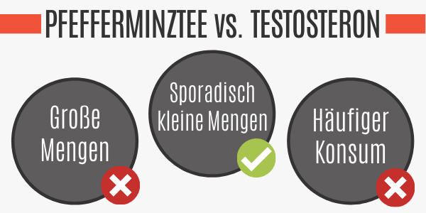 Pfefferminztee vs. Testosteron