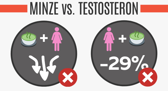 Studien zu Minze und Testosteron