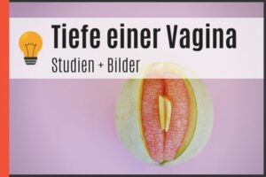Tiefe einer Vagina - Studien & Bilder