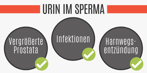 Urin im Sperma