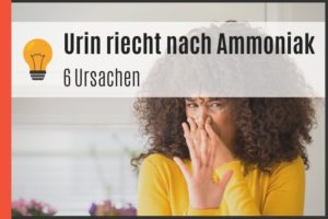 Urin riecht nach Ammoniak - 6 Ursachen