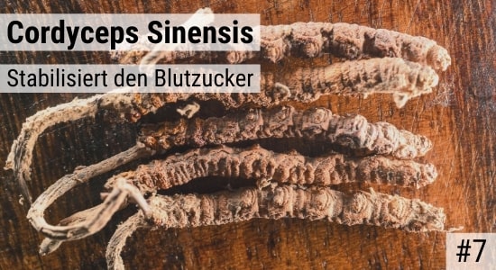 Cordyceps Sinensis stabilisiert den Blutzucker