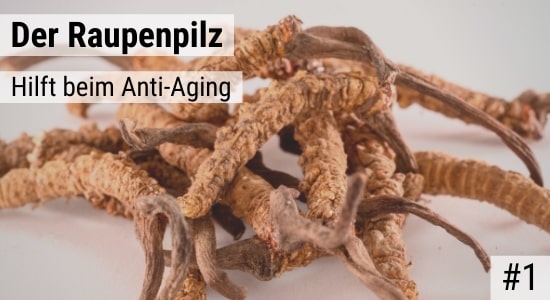 Der Raupenpilz hilft beim Anti-Aging