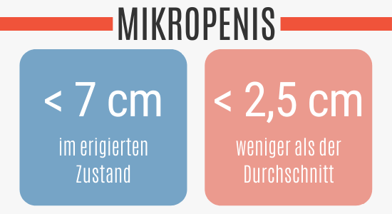 Mikropenis