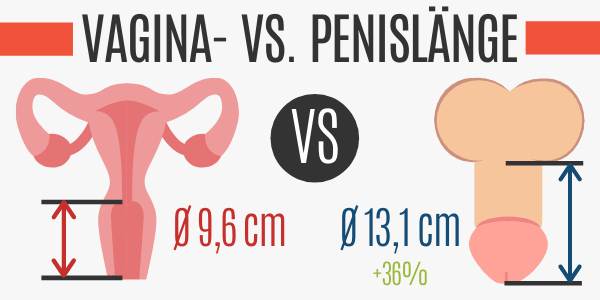 Penislänge vs. Tiefe einer Vagina