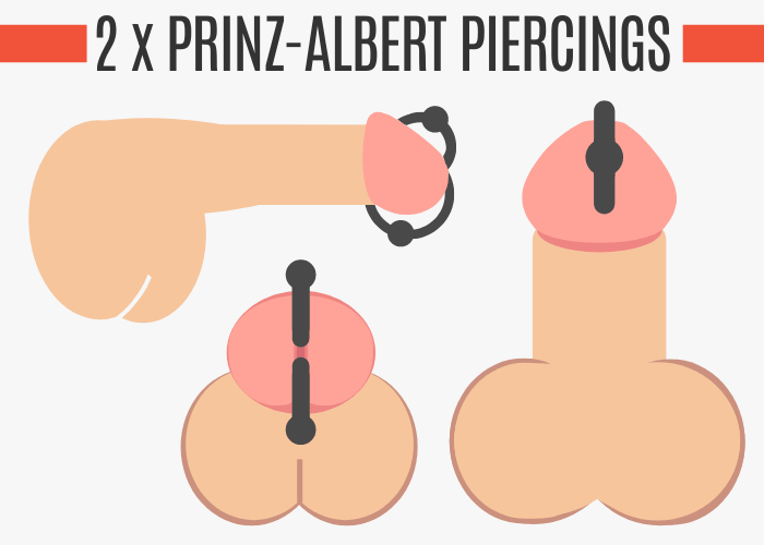 Prinz Albert Piercing