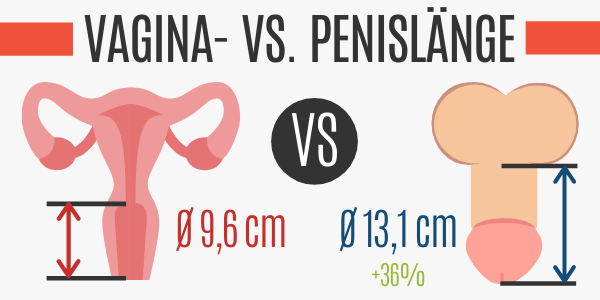 Tiefe einer Vagina vs. Penislänge
