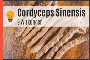 Cordyceps Sinensis - 9 Wirkungen