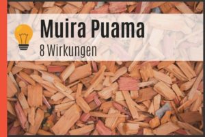 Muira Puama - 8 Wirkungen