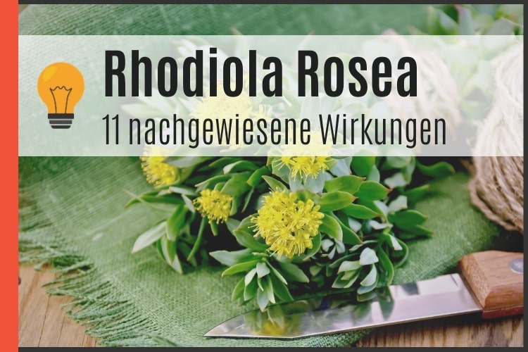 Rhodiola Rosea - 11 nachgewiesene Wirkungen